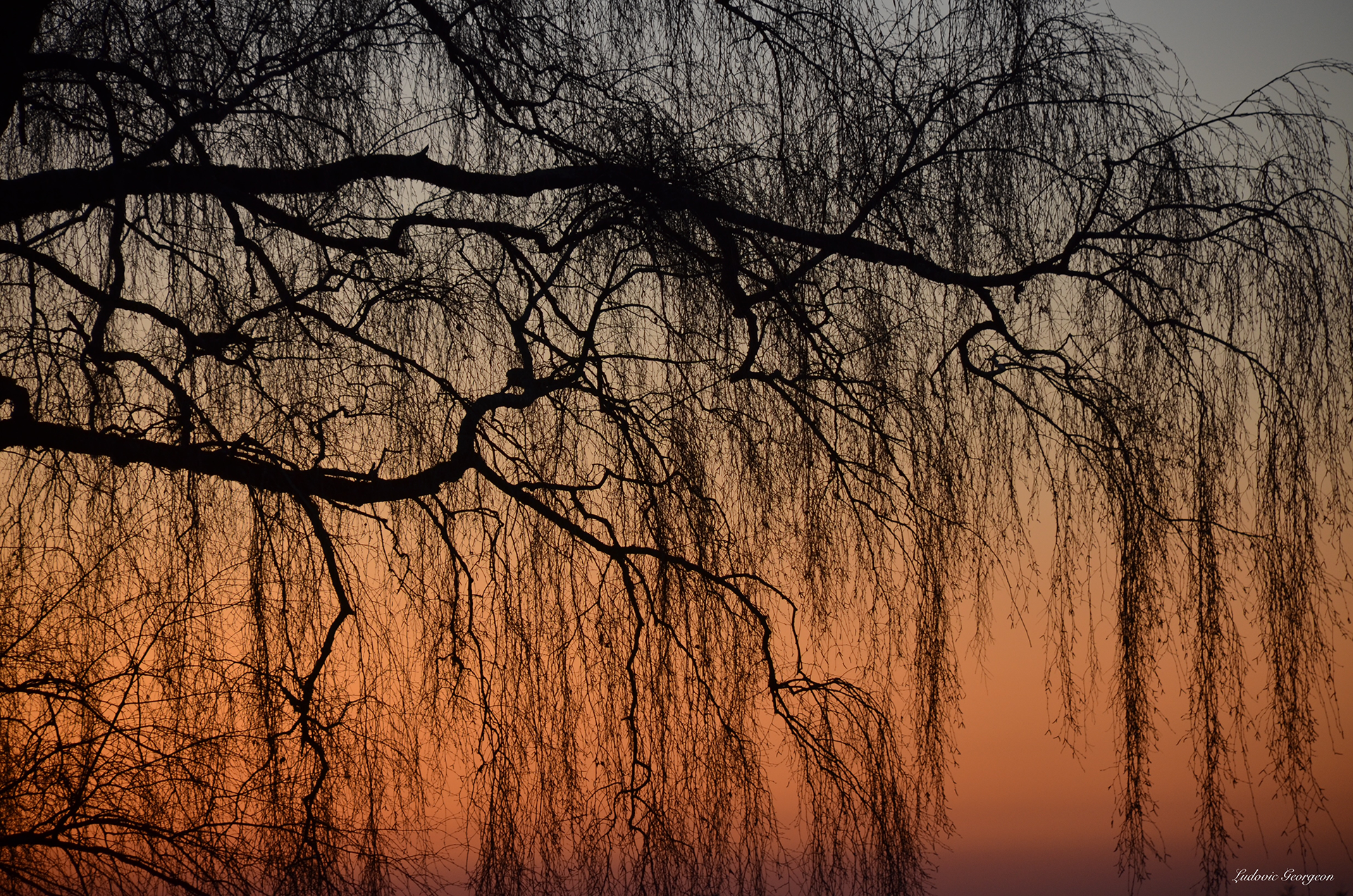 Coucher du soleil