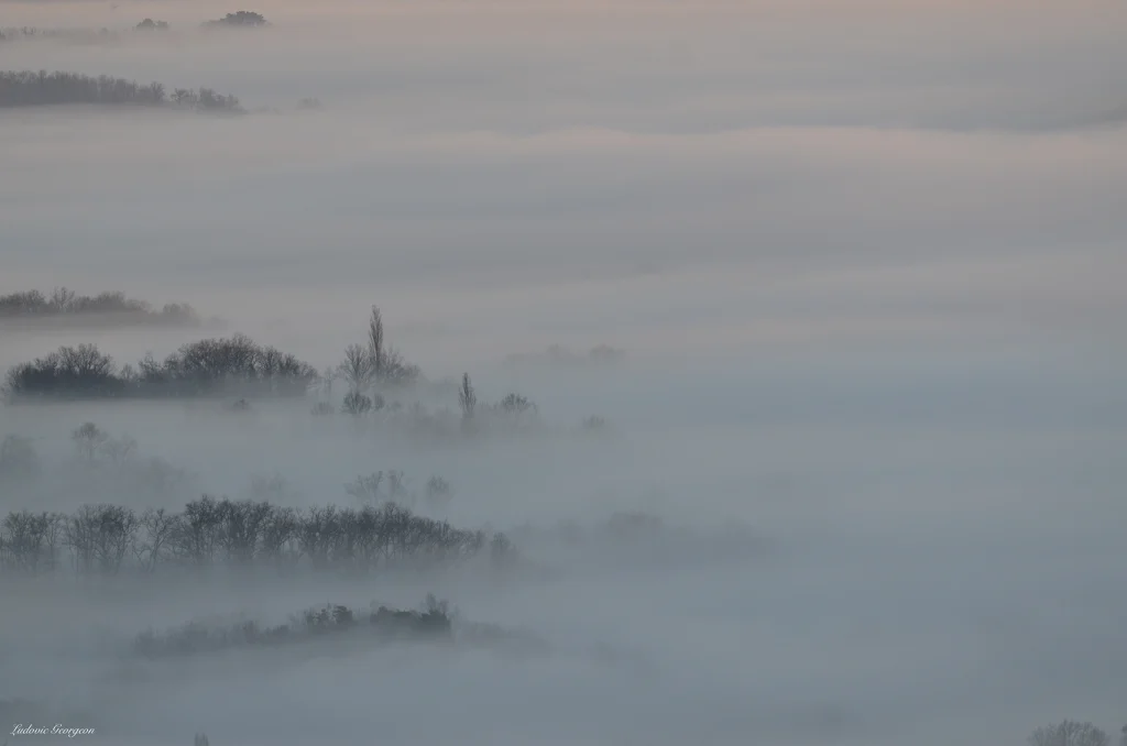 Paysage hivernal