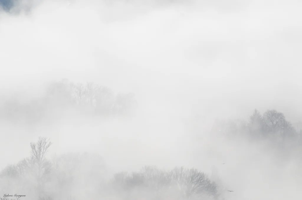 Paysage hivernal