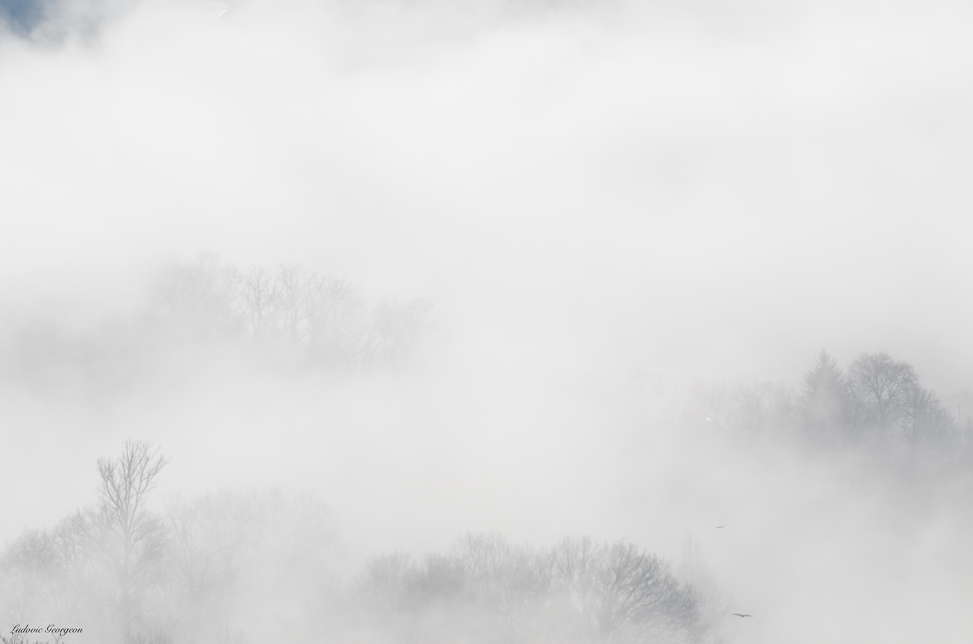 Paysage hivernal