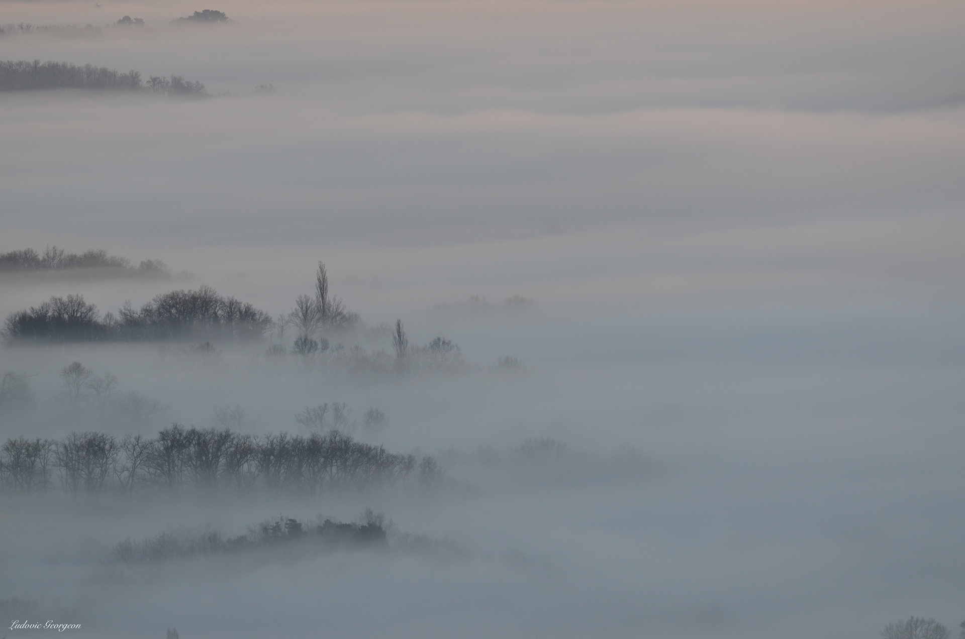 Paysage hivernal